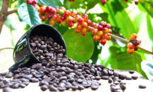 4 coffee beans