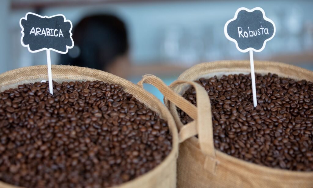 arabica vs robusta